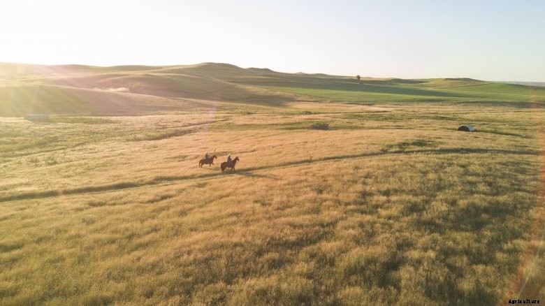 Anderson ranch from sky